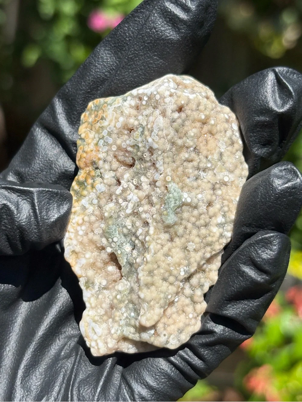 Ocean Jasper Druzy Crystal Slab - Orbicular Jasper - Polished Sea Jasper